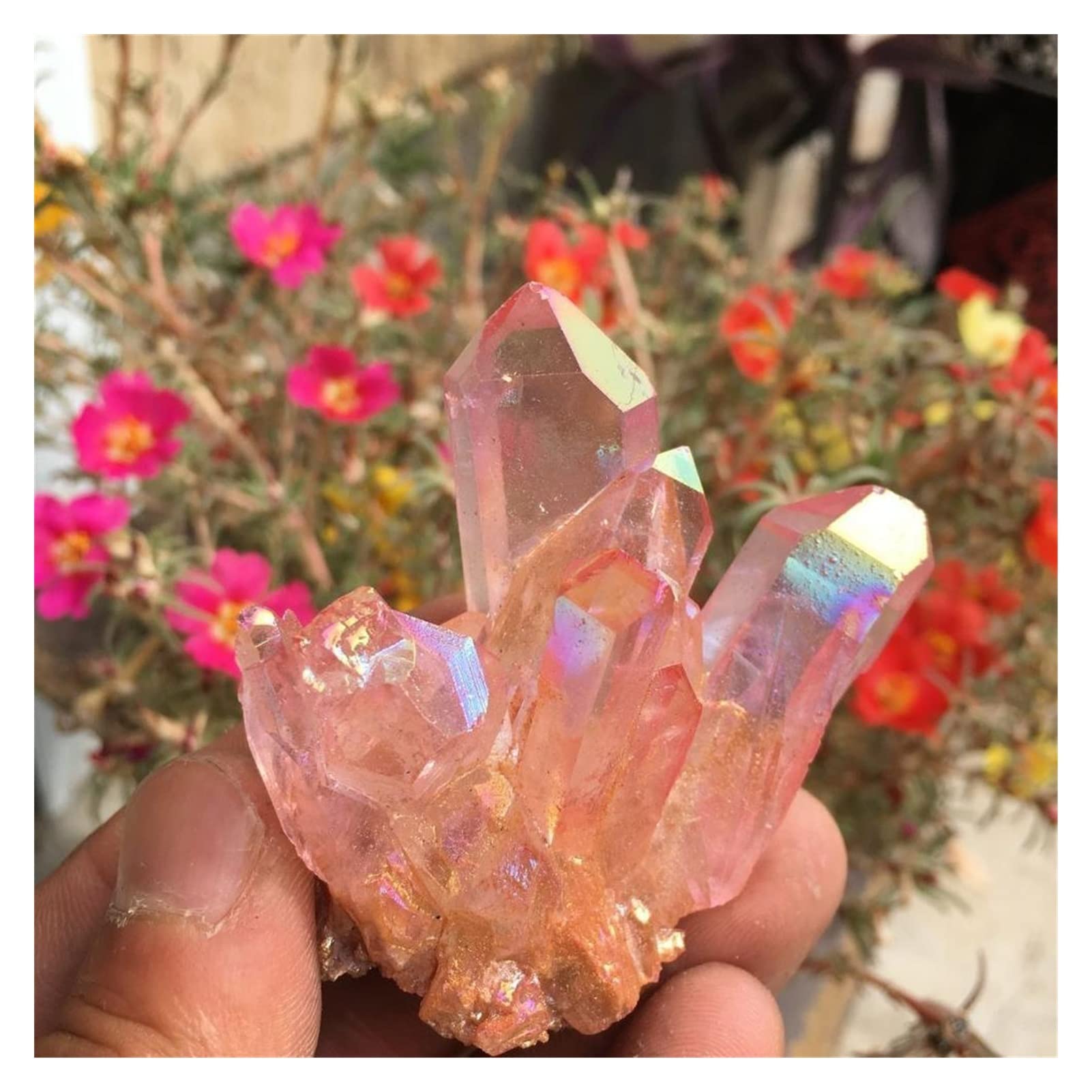 Clover】C0008 水晶クラスター（中）天然石 原石 クリスタル