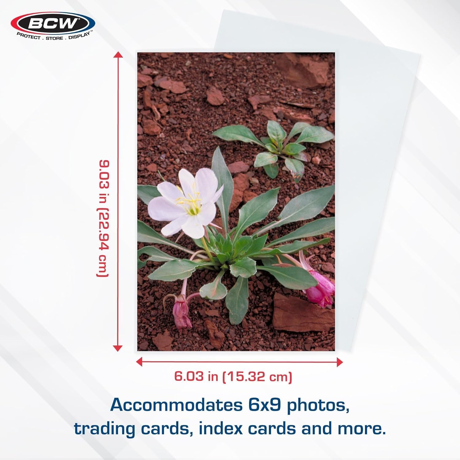BCW 6x9 Photo Sleeves - 200 ct | Acid-Free, No PVC | Crystal Clear Polypropylene | Archival Storage for 6x9 Photos & Postcards