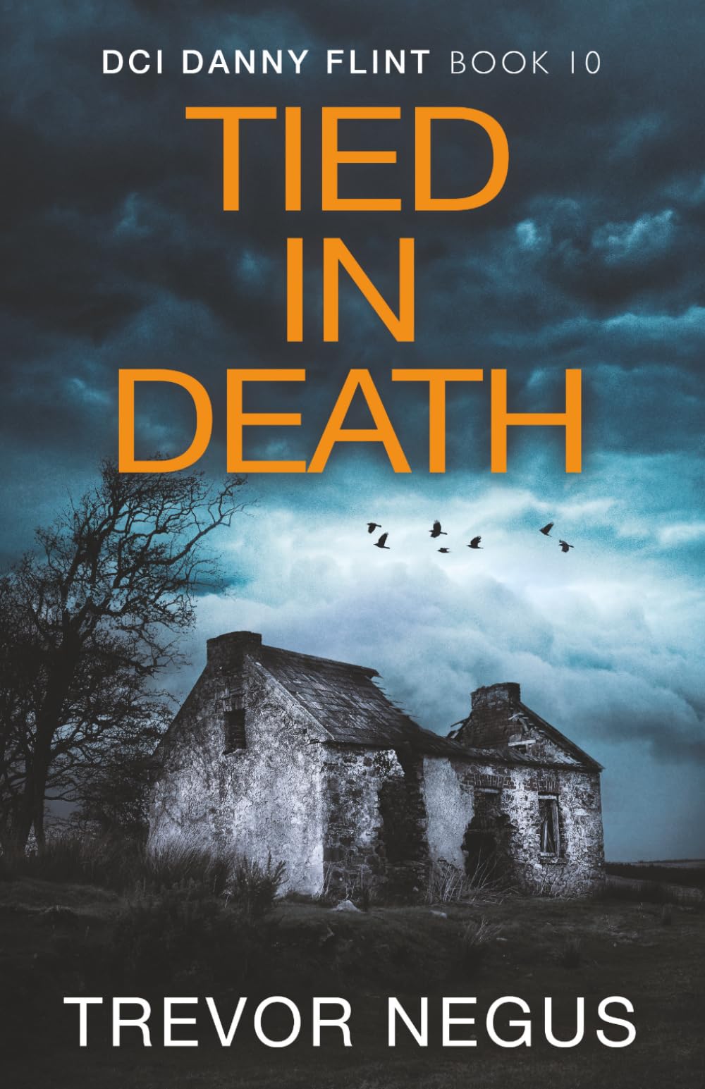 Buy Tied in Death (DCI Danny Flint) — BookShops.in