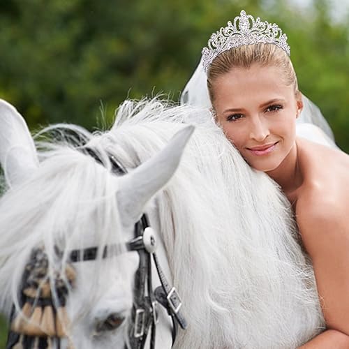 Miniatura 5 de Didder - Diadema de cristal plateada con corona de princesa, elegante corona con peines para mujeres y niñas para novias, bodas, graduaciones,