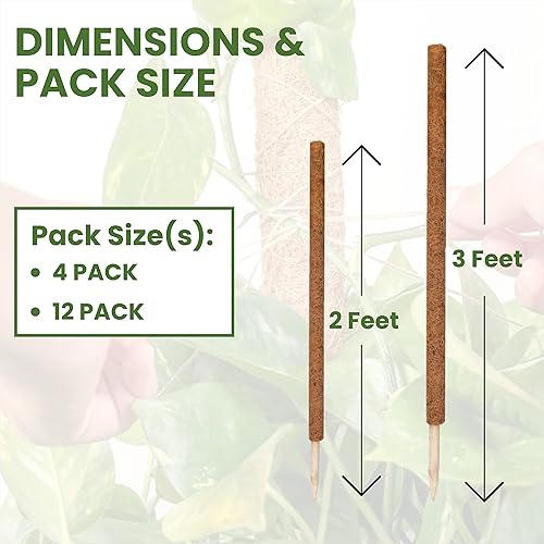 Miniatura 4 de Envelor Postes de musgo de coco, estacas de soporte para plantas de coco, estaca para plantas de coco, poste de tótem de fibra de coco, poste de
