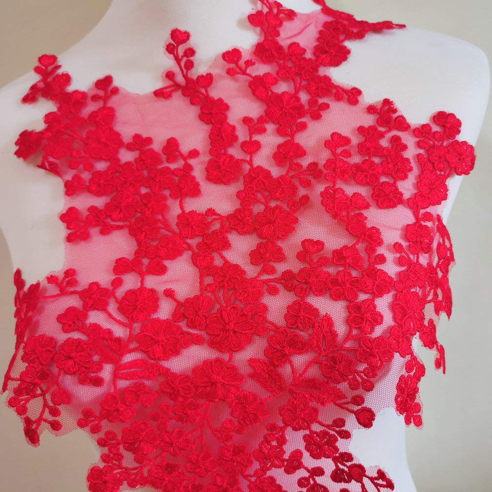 Amazon.com: Fine Embroidery Lace Applique High-Grade Wedding Dress/Dress/Children's  Wear/Overcoat DIY Accessories Lace Decoration (red)