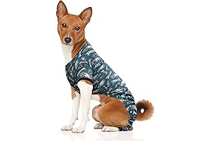 Philadelphia Eagles Dog Sweater: Essential Jersey for Tailgating with Your Canine Companion