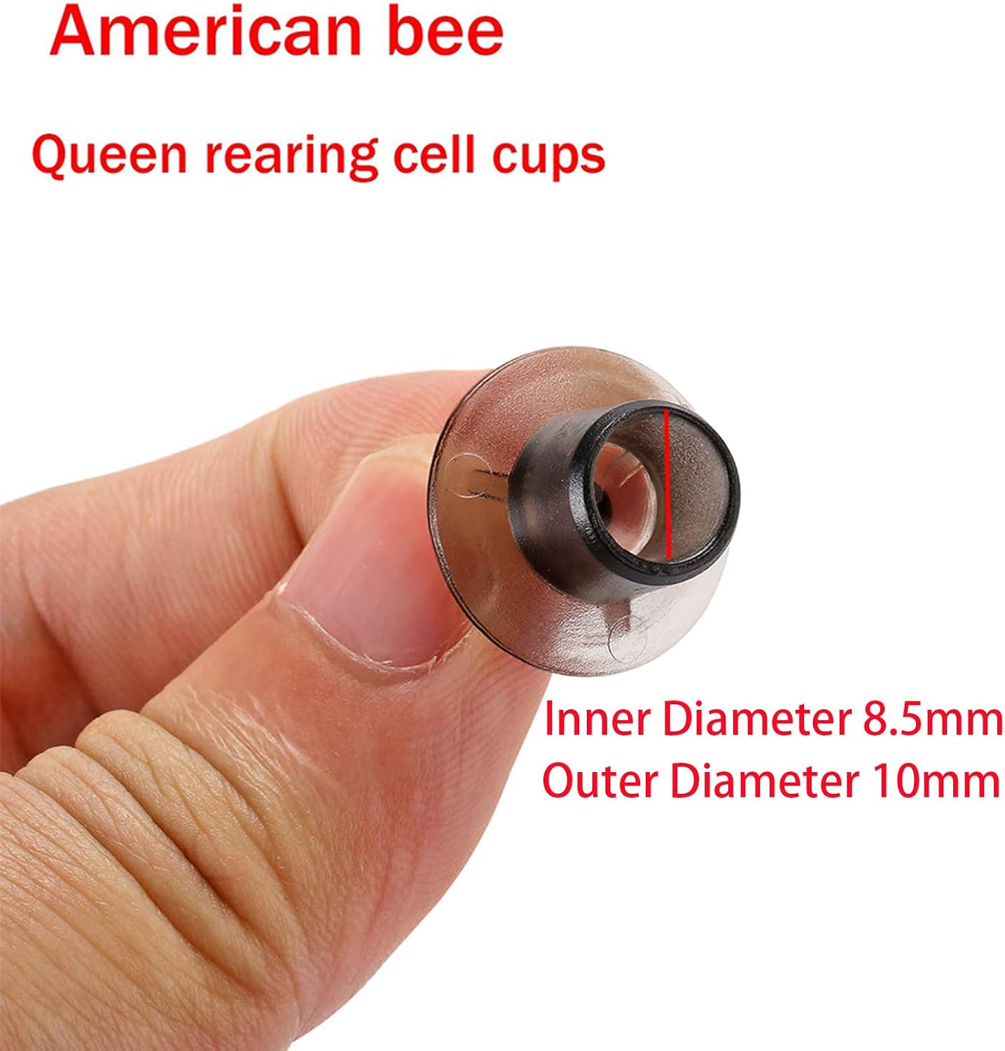 JZBZ Queen Rearing Kit,Grafting Frame Bar,Bee Cell Cups,Beekeeping Holder