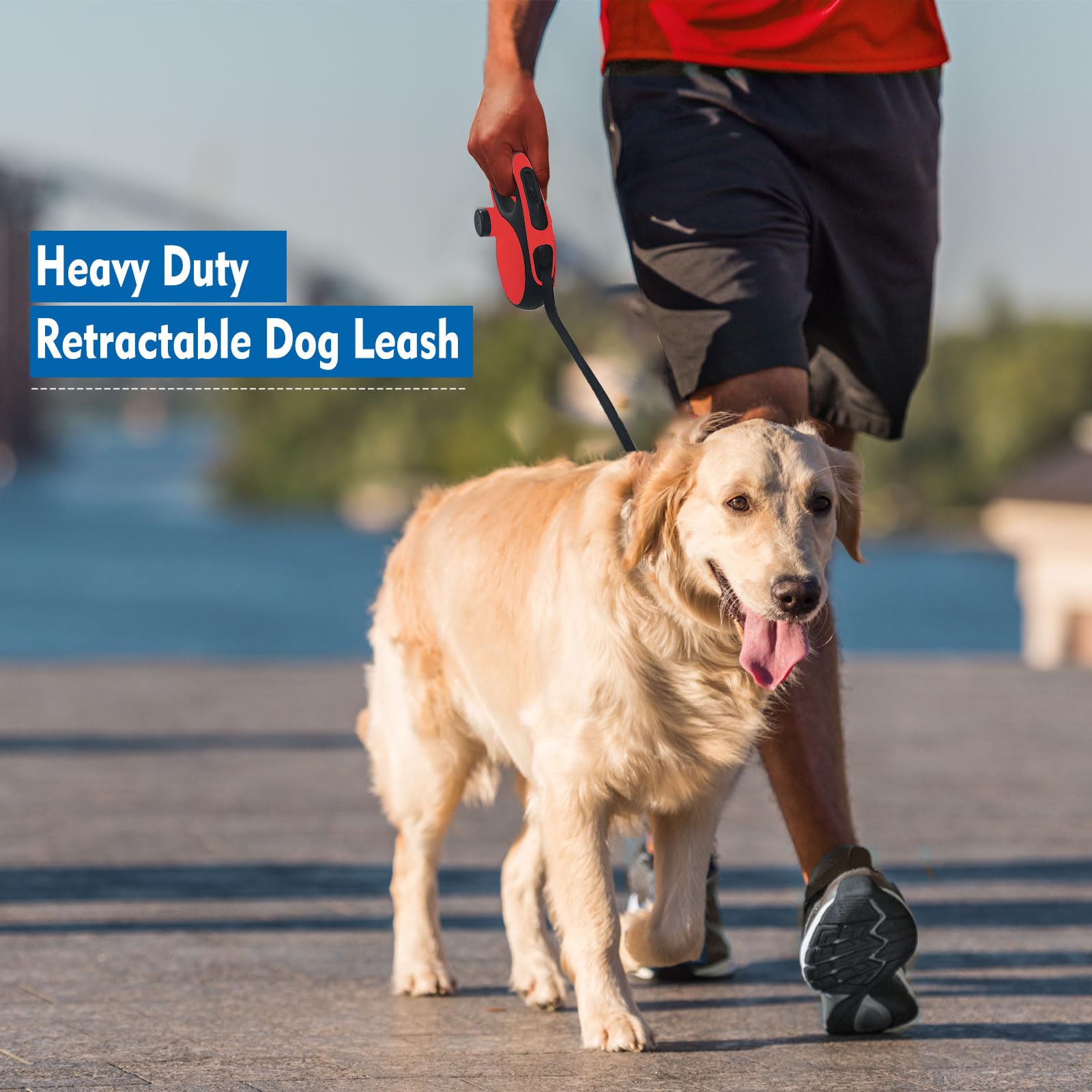 Dog Grooming Primo Dog Daycare Dog Daycare Walkabout Dog Walking