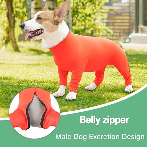 Miniatura 3 de Etdane Mameluco para perro después de la cirugía, traje de recuperación quirúrgica para mascotas, body anti desprendimiento para hembras y perros