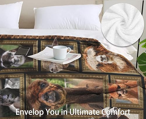 Miniatura 3 de Manta de alpaca Manta de vellón para sofá, manta de cama súper suave y acogedora, manta ligera de felpa mullida para sofá, tamaño individual de 60