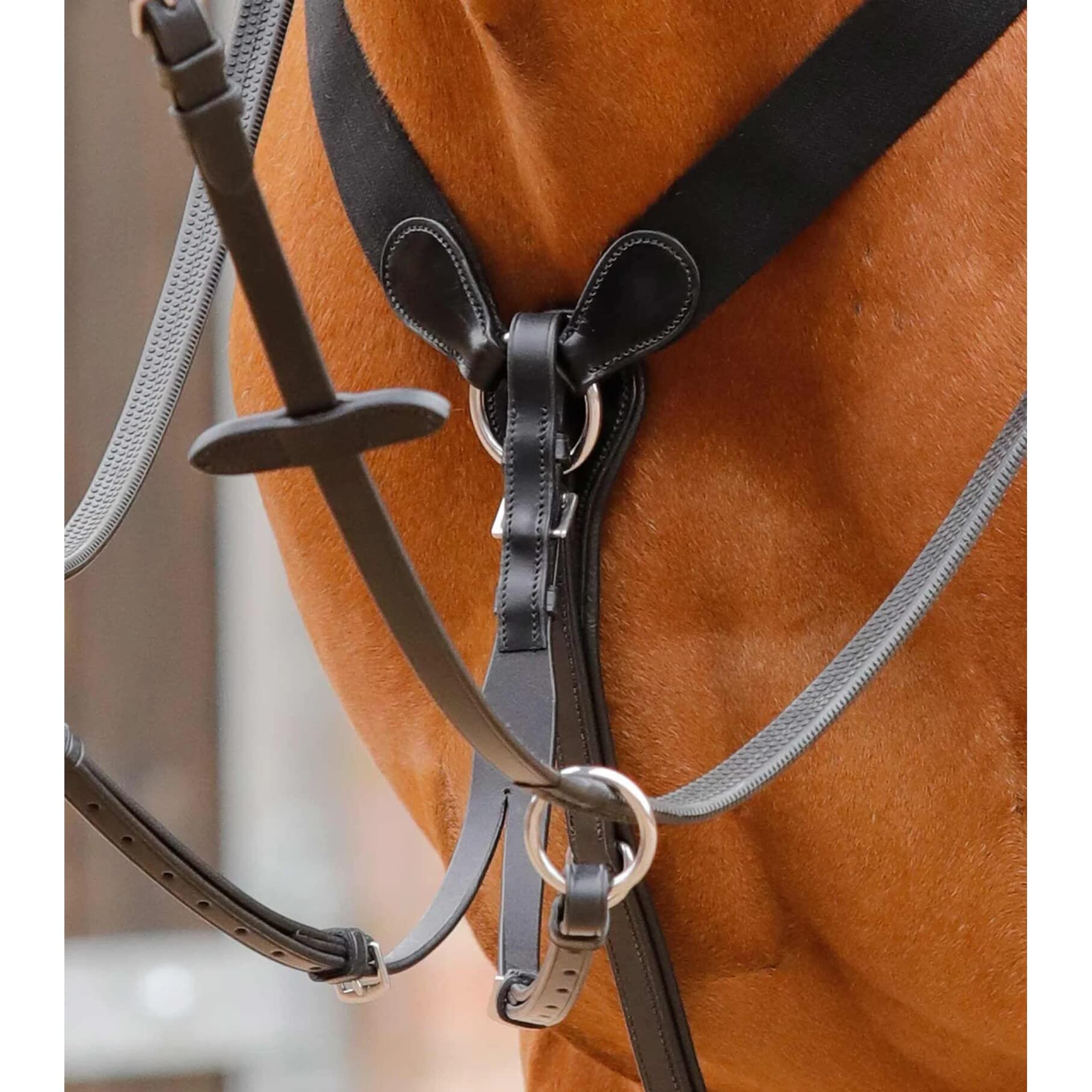 Premier Equine Martingala per Cavalli Baressa