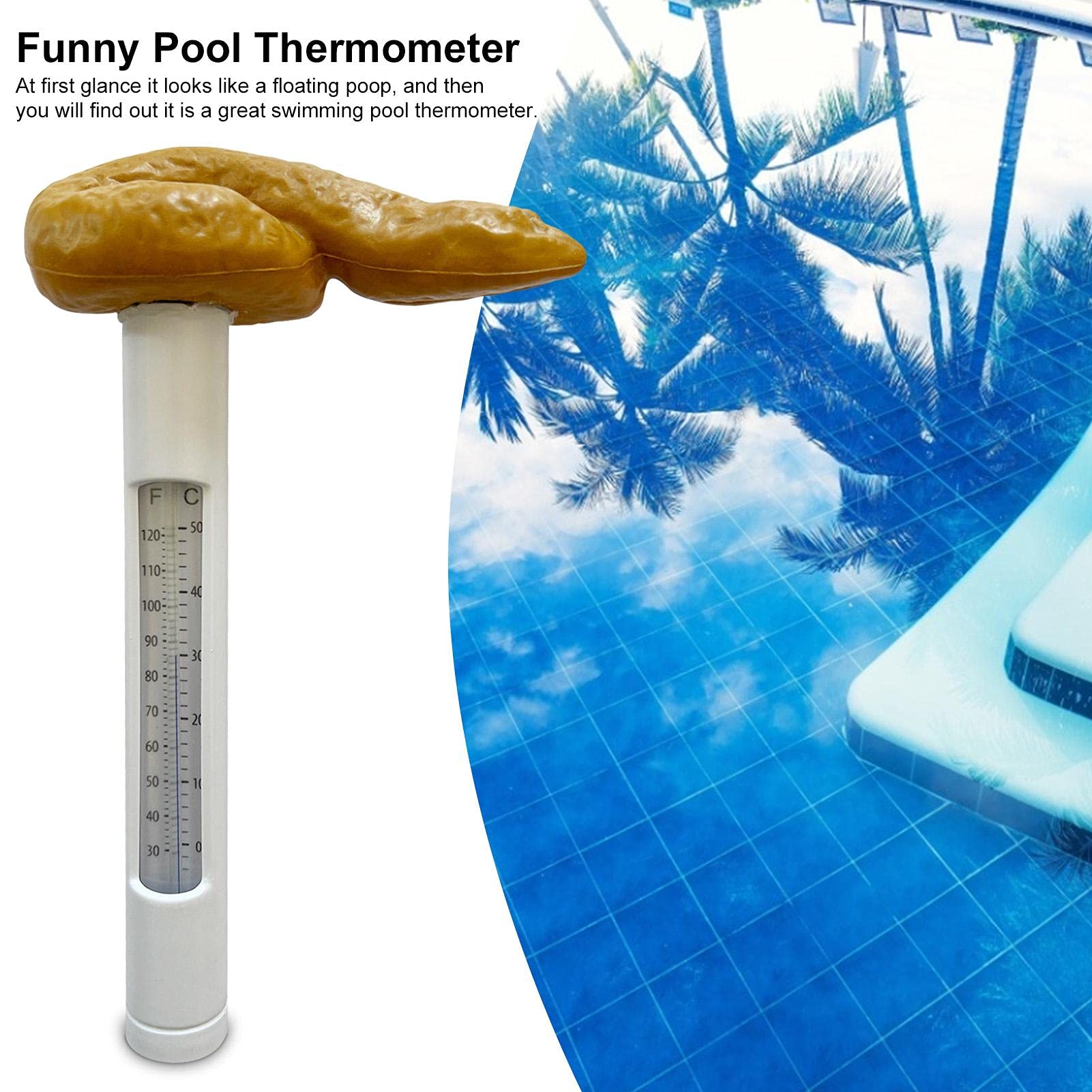 Termometro Acqua Piscina Laghetto Skimmer Replacement