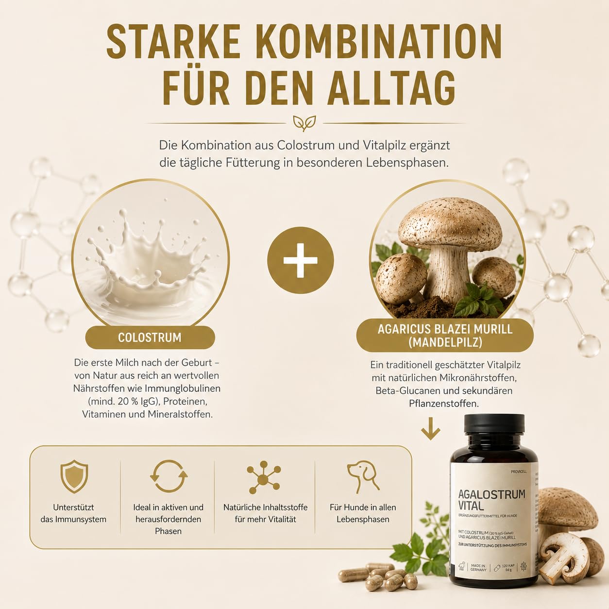 Agalostrum Vital für Hunde - Colostrum Kapseln für Hunde – 120 Kapseln – Mit Colostrum (20% IgG) & Mandelpilz – Zur Unterstützung des Wohlbefindens & Abwehrkräfte - Made in Germany
