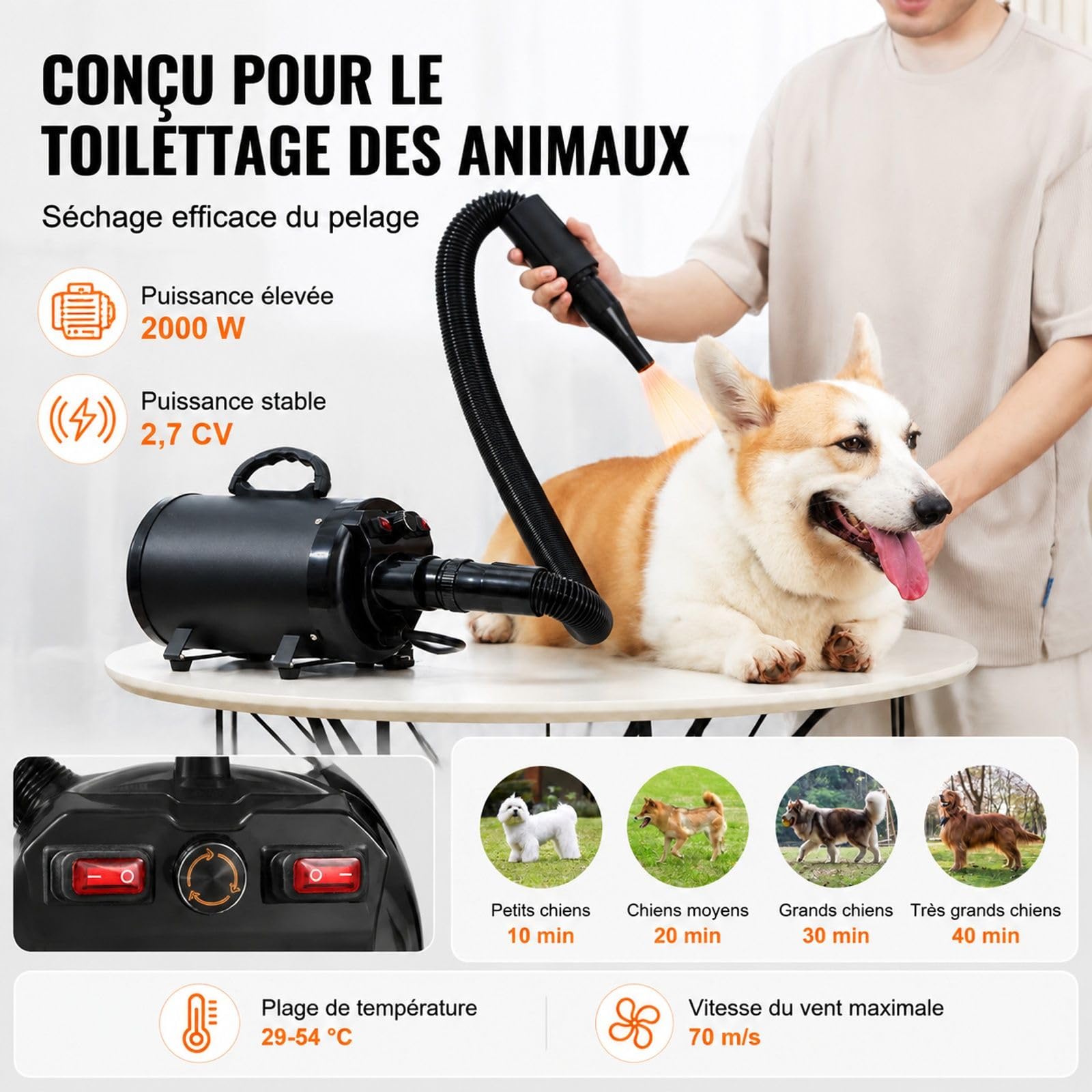 Souffleur séchoir pour chien 2000 W, vitesse d'air 70 m/s réglable, température ajustable, 4 buses, tuyau extensible, toilettage des animaux, noir, fer et ABS