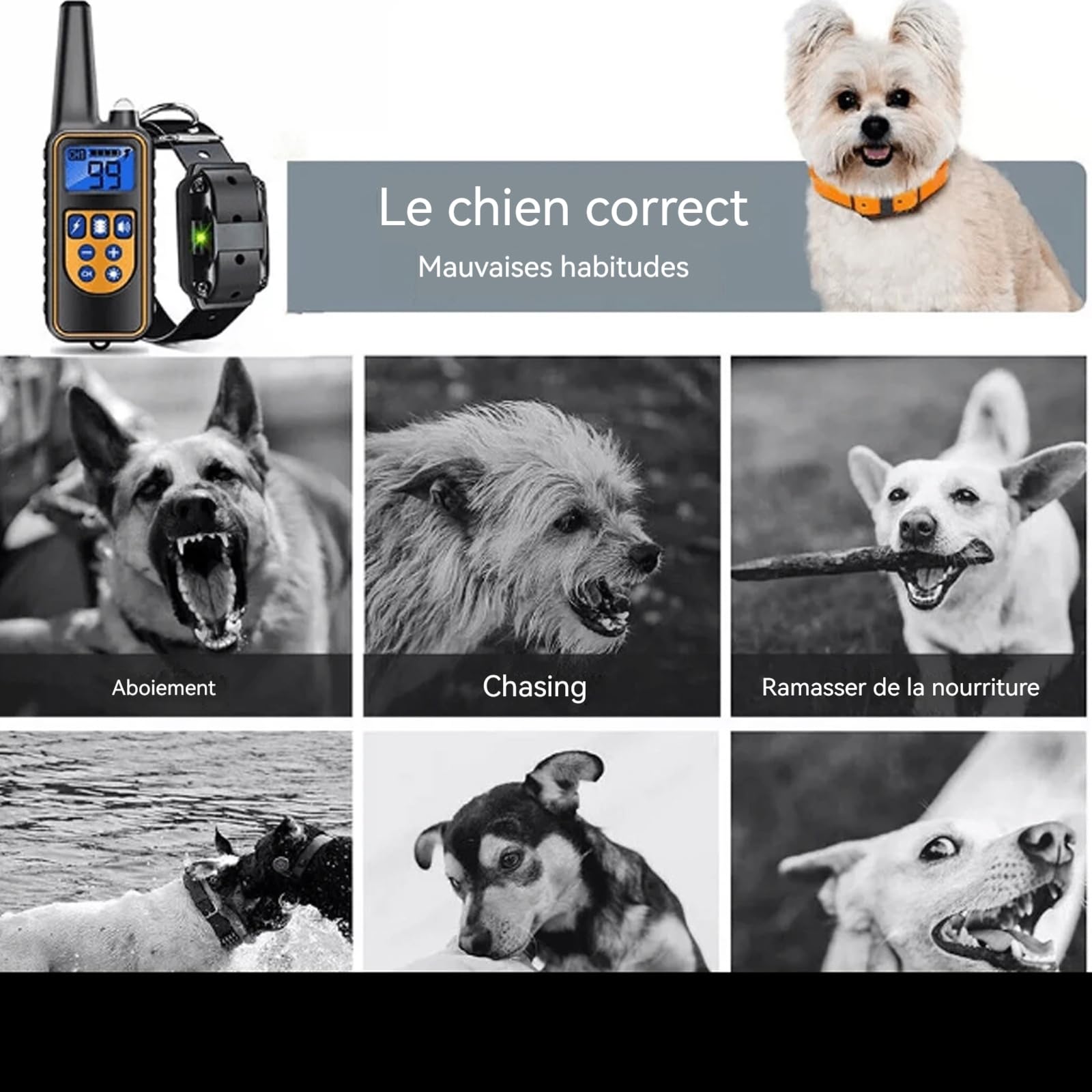 Collier de Dressage pour Chien, Rechargeable et étanche jusqu'à 800 m, avec écran LCD