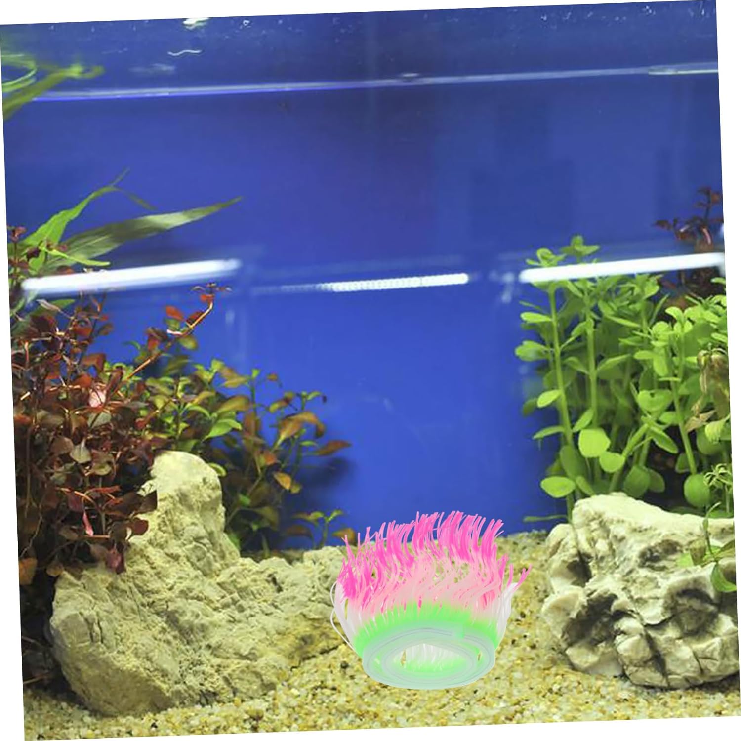 Housoutil 5pcs Simulated Coral Decor for Fish Tank Silicone Aquarium Decoration Safe Non- Material Aquatic Plant Adornment Fish Habitat Easy Care