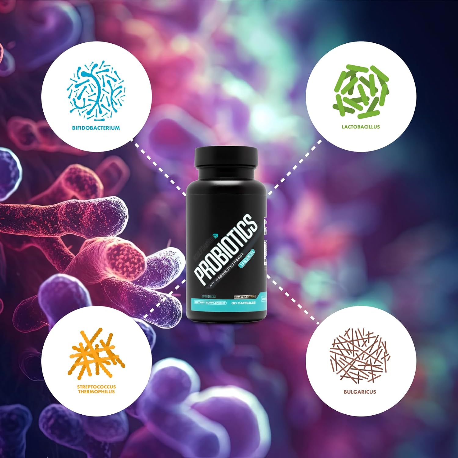 Sculpt Nation by V Shred Premium Probiotics - Digestive & Gut Health Support - Helps with Occasional Constipation, Gas and Bloating - 30-Day Supply