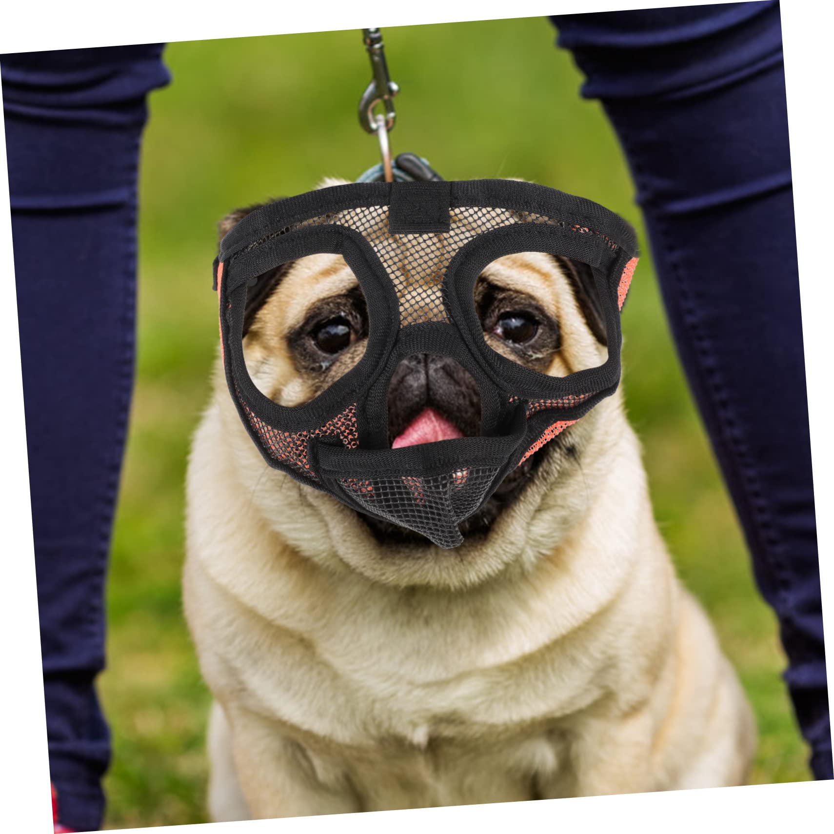 Sosoport 4pièces Muselière Respirante pour Chien Muzzle Anti-aboiement Et Anti-Morsure pour Chiens De Toutes Accessoire Pratique Et Confortable Matériau Résistant