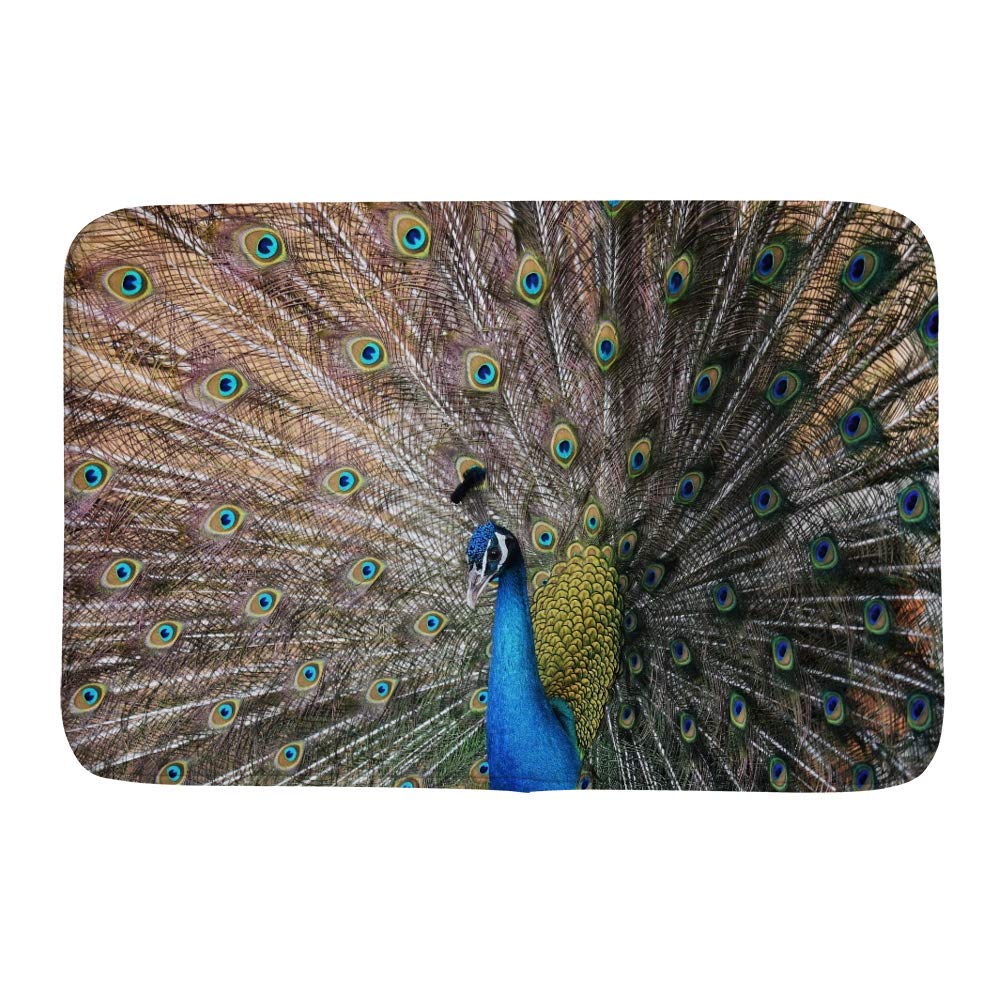 Tapis de douche paon 36 x 61 cm pour une sortie de bain douce et sécurisée