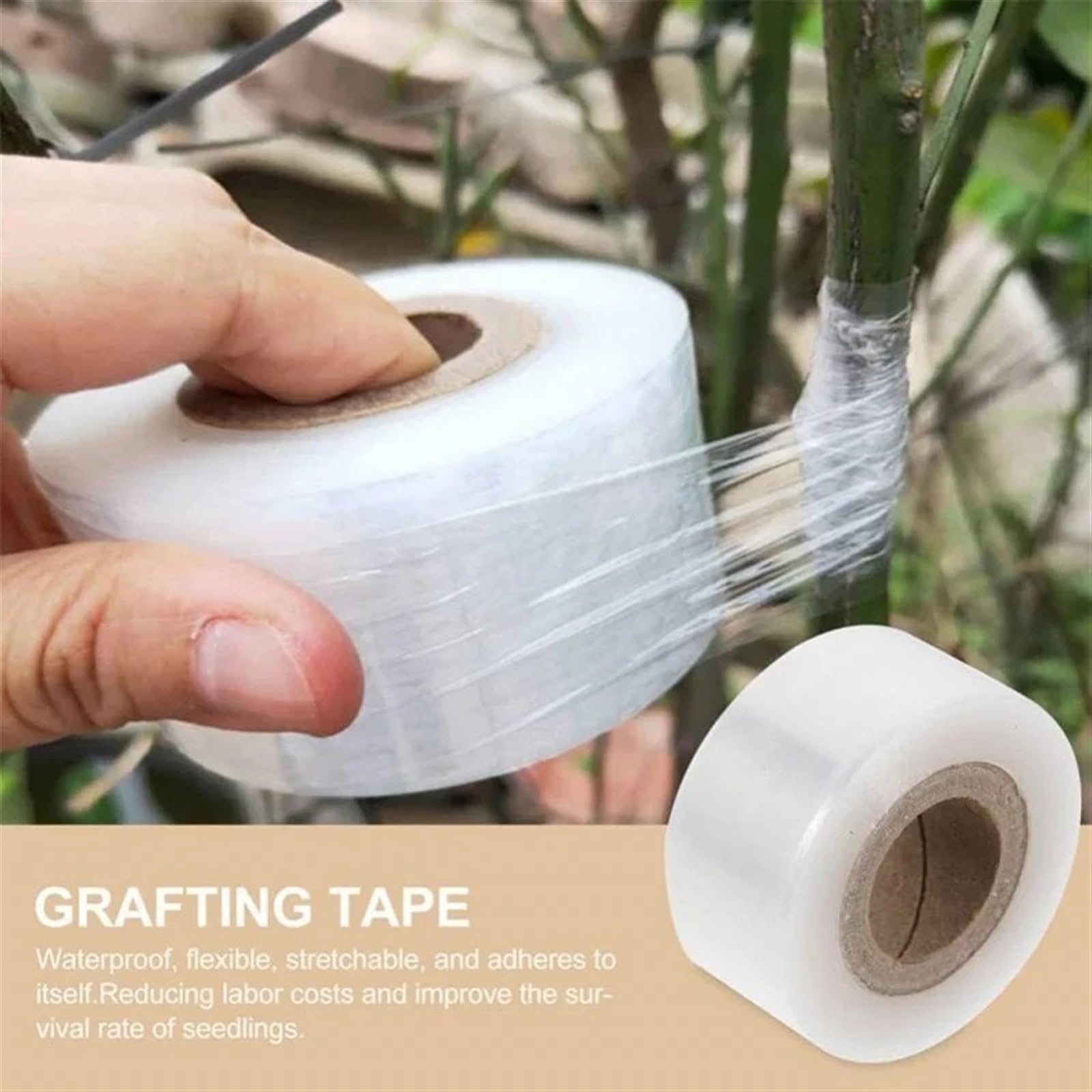 Baumschulveredelungsband, PE-Pfropfband, selbstklebend, dehnbar, transparent, 3–10 cm x 200 m, for Pflanzen(10cm-200m-1pc)