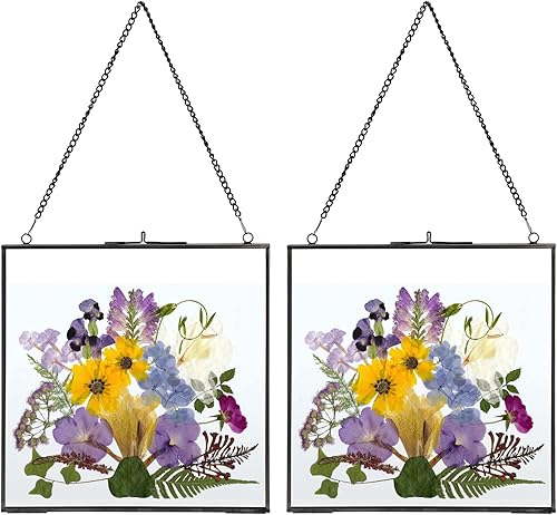 JUXYES Juego de 2 marcos de fotos de latón para colgar en la pared, marco flotante de vidrio para exhibir flores prensadas, marco flotante de doble