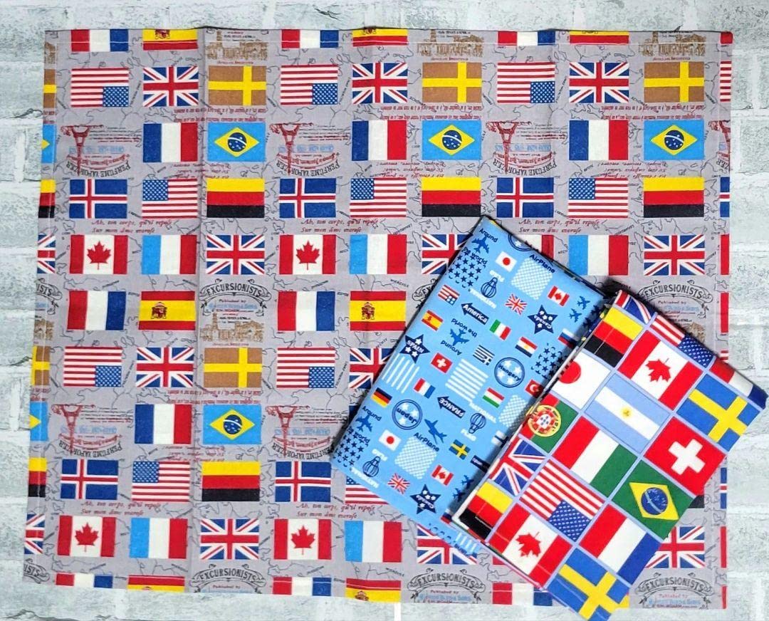 R4⭐︎ランチマット 40×50 ネームラベル付4枚セット宇宙昆虫国旗