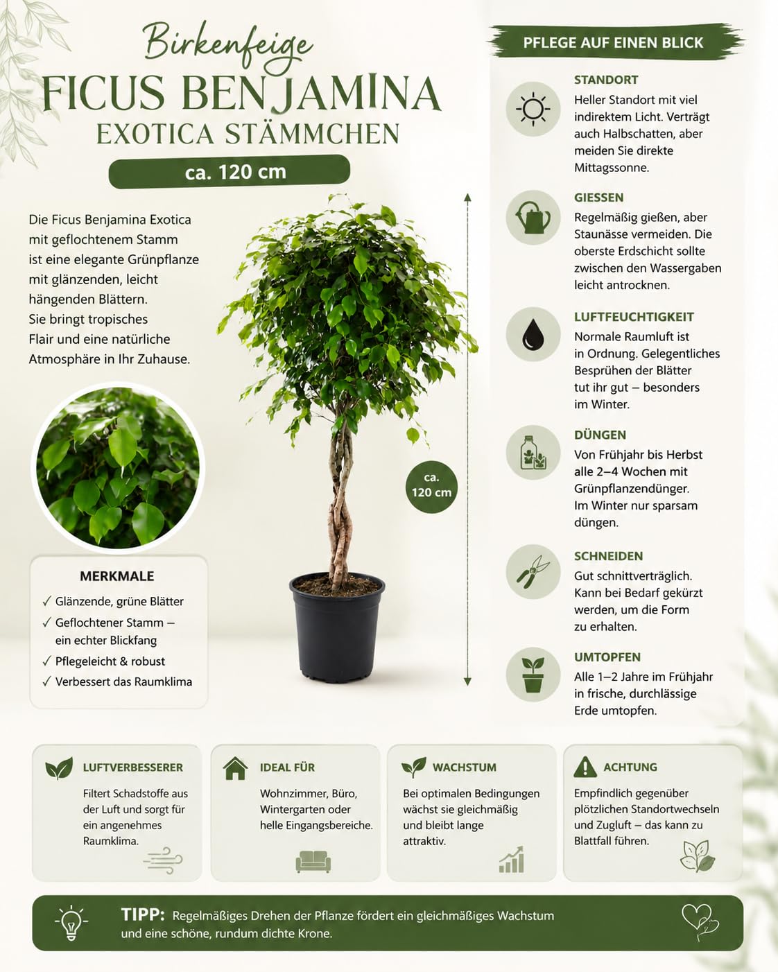 compo.com Compo Expert Combo Pack of 5 Fertilizers main image 0