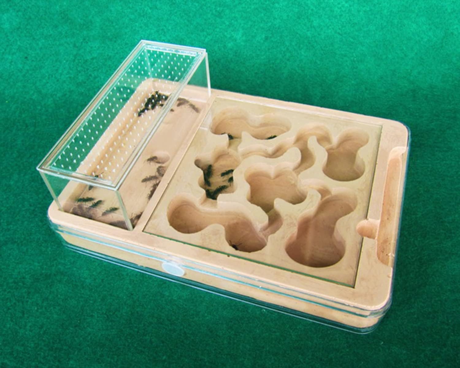 Nido de observación estereoscópica acrílico Nido de hormigas ecológico, hormiguero de plástico transparente PP, castillo de hormigas, caja de cría de hormigas, casa de hormigas, caja de alimentación d