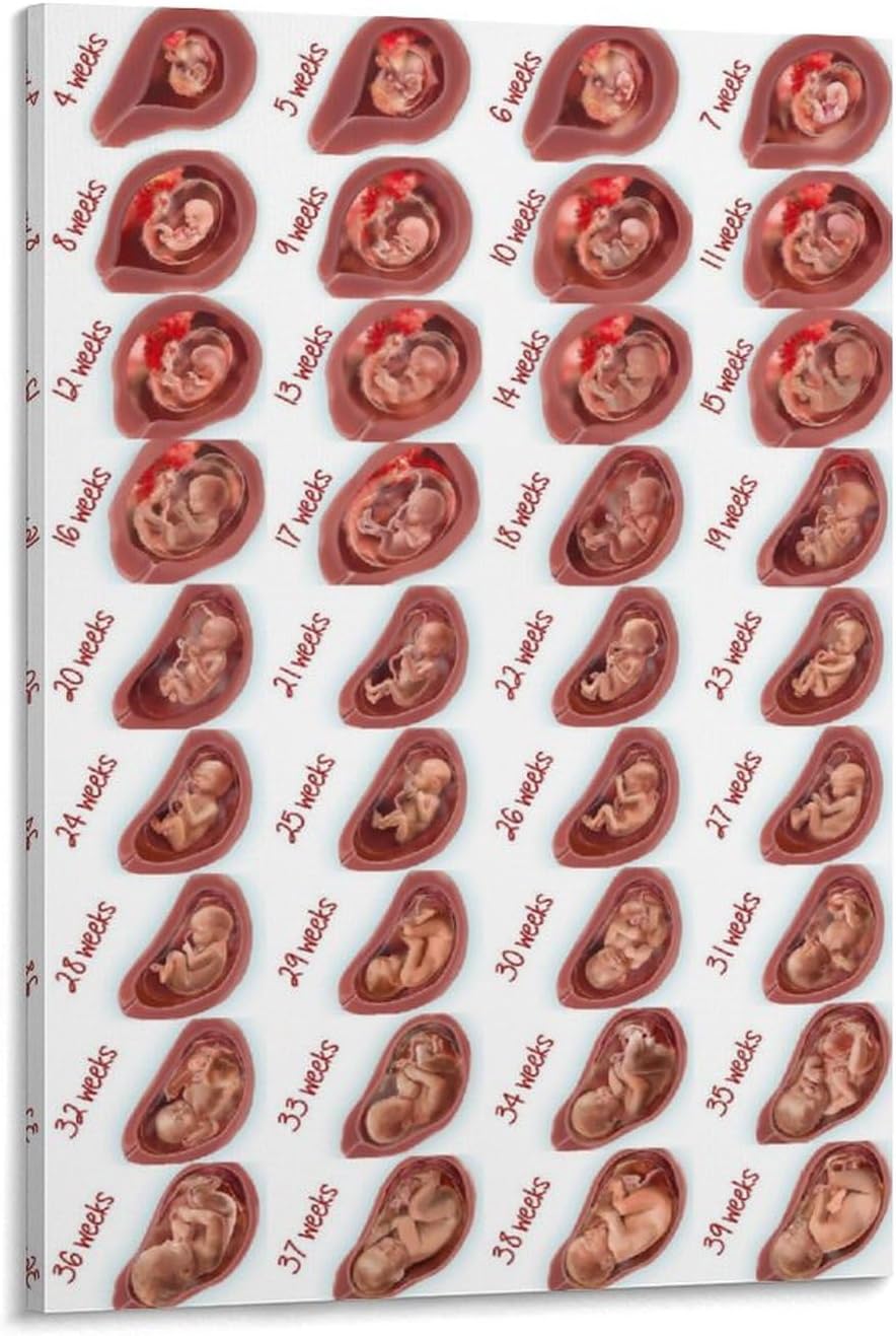 Posters Newborn Baby Knowledge Poster Obstetrics And Gynecology Poster Maternity Knowledge Poster Canvas Painting Posters And Prints Wall Art Pictures for Living Room Bedroom Decor 08x12inch(20x30cm)