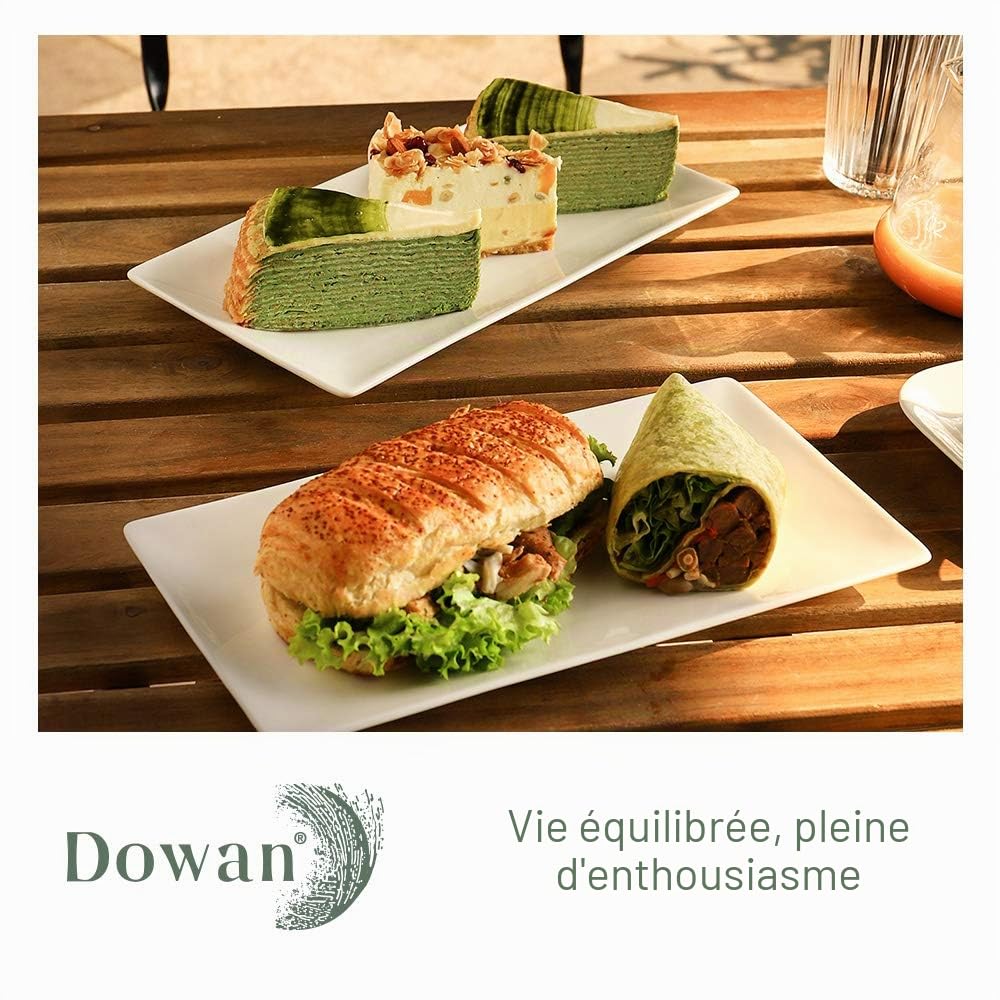 DOWAN Assiettes Longues, Assiette Porcelaine Rectangulaire Blanche, Service Vaisselle pour Viande, Apéritifs, Dessert, Nourriture, Fête, 30,5 X 15,2 cm, Assiette Rectangulaire Lot de 4