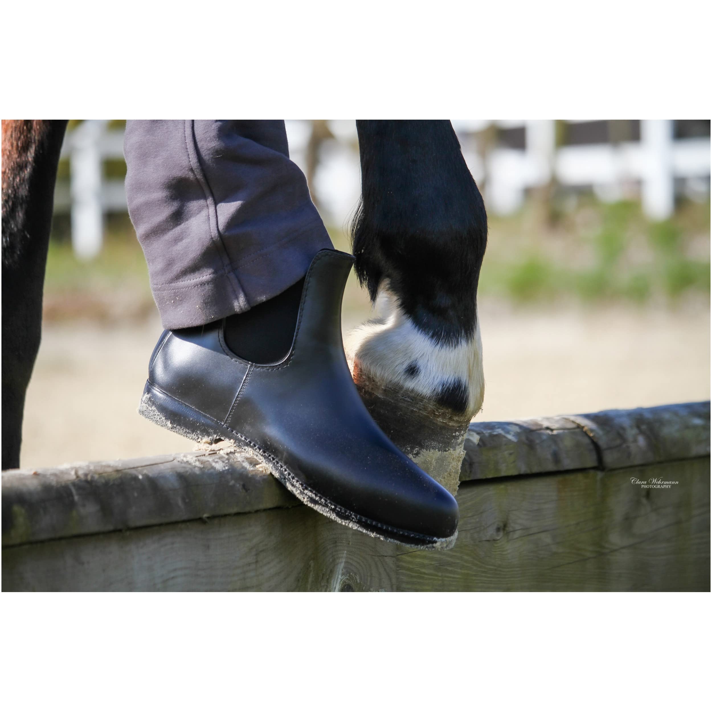 Lazura - Jodhpur Reitstiefelette Basic | Kinder, Herren & Damen Stiefeletten | mit Elastikeinsatz & Pull-On | schwarze Chelsea Boots aus Kunstleder | Reitschuhe in Größe 28-45