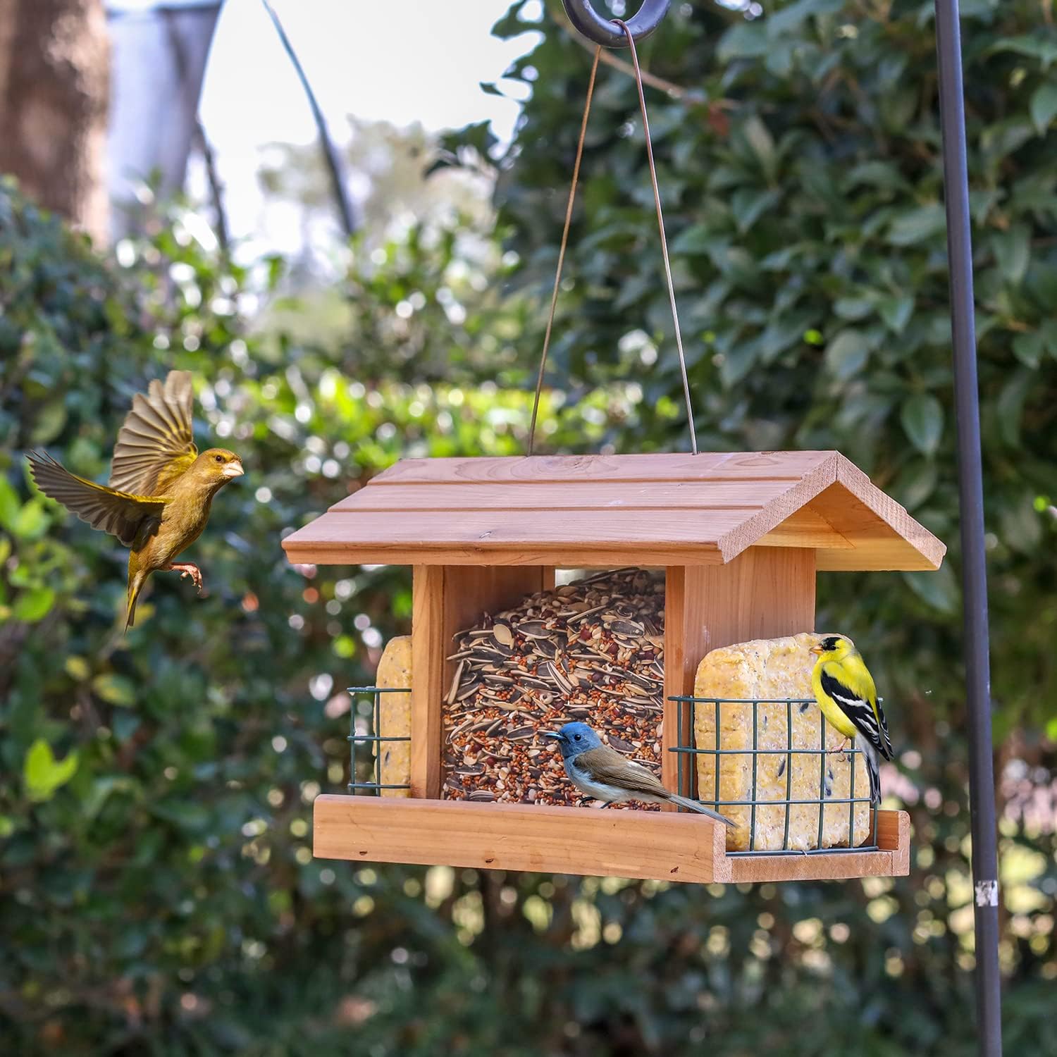 Worth Garden Cedar Bird Feeder - Wooden Hanging Garden Roof Top Feeder with 2 Suet Holder Cages and Double Plastic Window - Outdoor Weatherproof - 12.2''L X 7.3'' W x 8.6''H