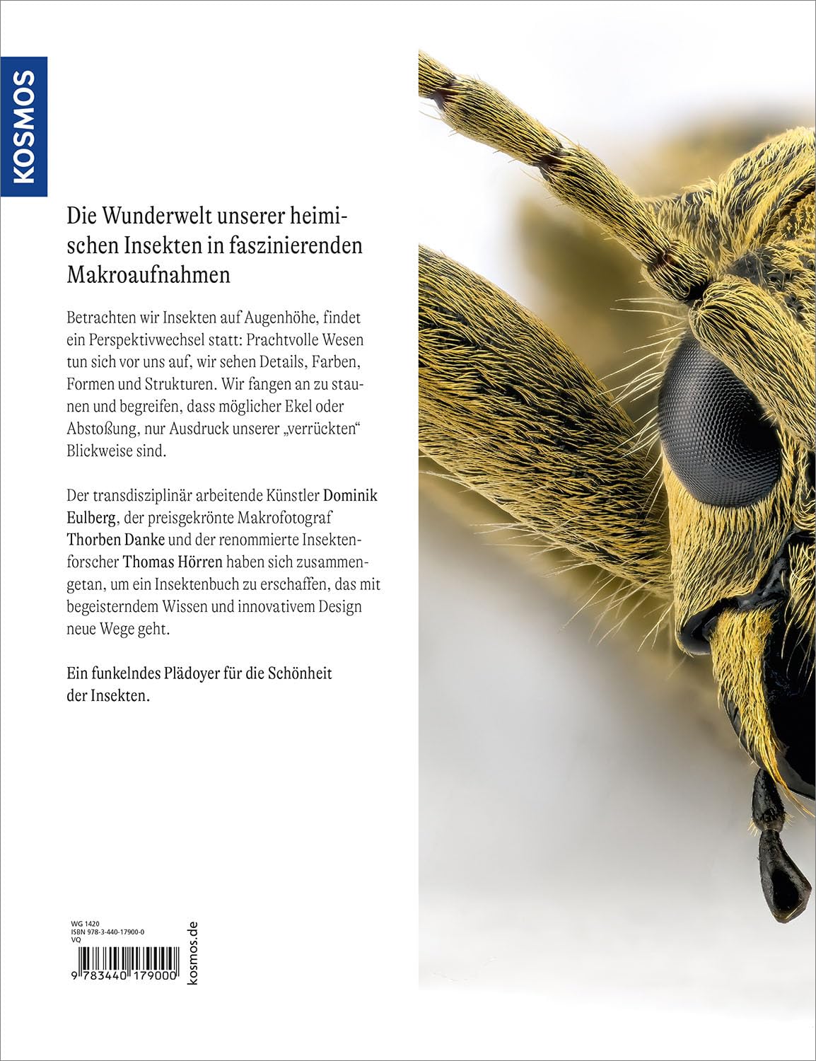 Von Angesicht zu Angesicht: Auf Augenhöhe mit heimischen Insekten - faszinierende Fotos und wissenswerte Wunderfakten