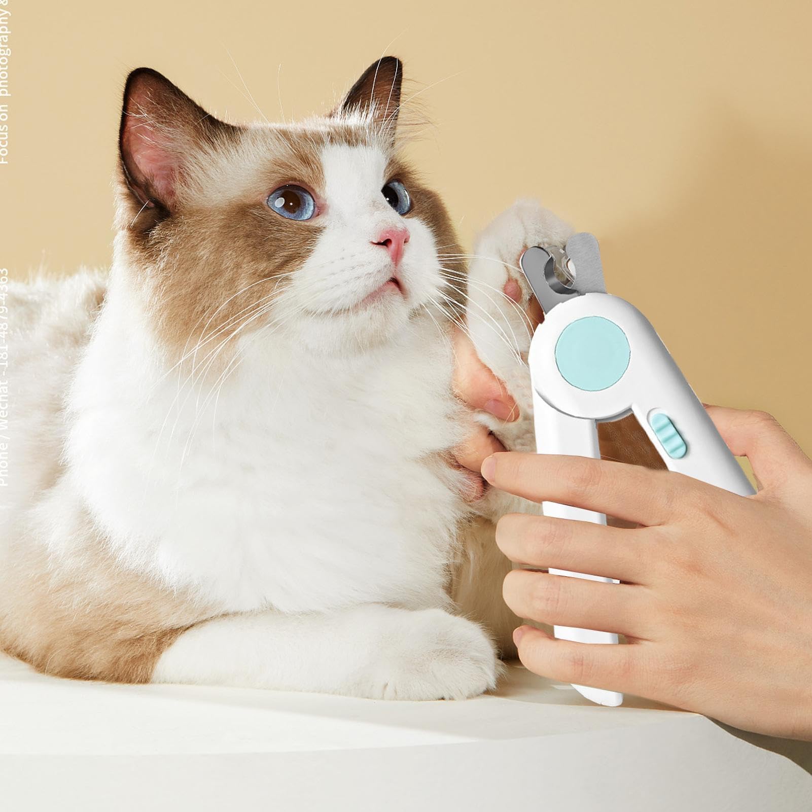 Nagelschere, Krallenknipser for Welpen mit Licht – glättendes Fellpflege-Werkzeug for kleine Tiere, Kaninchen, Vögel, Kätzchen, for den Heimgebrauch