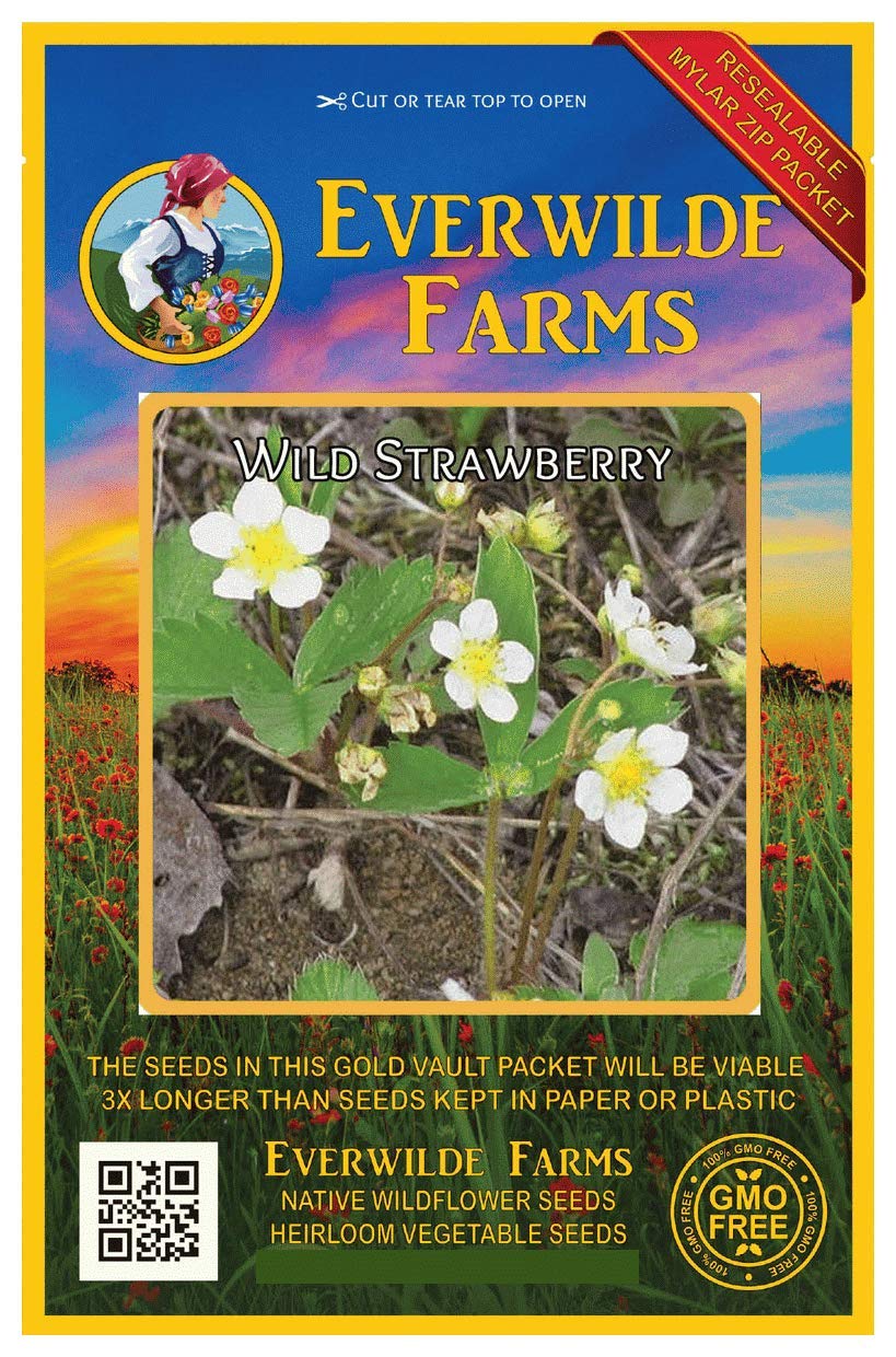 Everwilde Farms - 30 Wild Strawberry Native Wildflower Seeds - Gold Vault Seed Packet