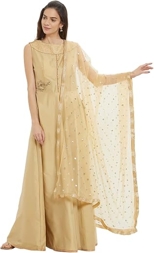 DUPATTA BAZAAR Woman's Embellished Beige Net Dupatta