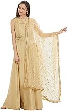 DUPATTA BAZAAR Woman's Embellished Beige Net Dupatta