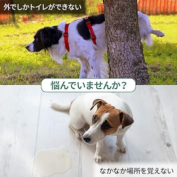 Amazon Co Jp Life Mart ペット用 トイレトレーニング 多目的 人工芝 46 60cm 芝丈30mm トイレトレーナー 屋内 トイレ練習 犬用トイレ マット ペット用品 Amazon Co Jp Life Mart ペット用 トイレトレーニング 多目的 人工芝 46 60cm 芝丈30mm トイレトレーナー 屋内 トイレ練習 犬用トイレ マット ペット用品