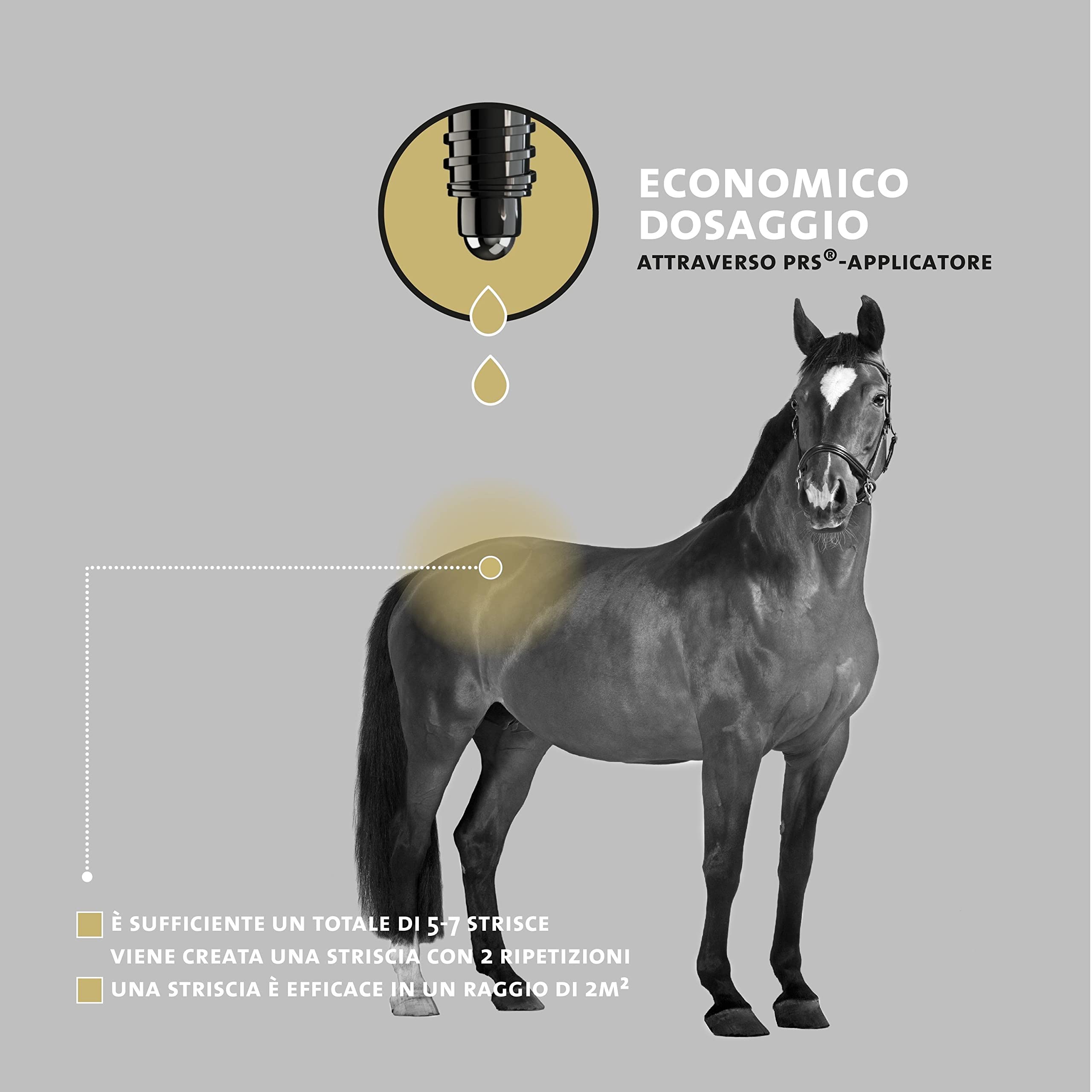 Peticare Cavallo Roll-On Anti Mosca Nera - Blocca Efficacemente, Difesa Contro Simulidi, Attivo Fino a 24 Ore, Prevenire Efficacemente Dermatite Estiva e Eczema - petAnimal Protect 2011