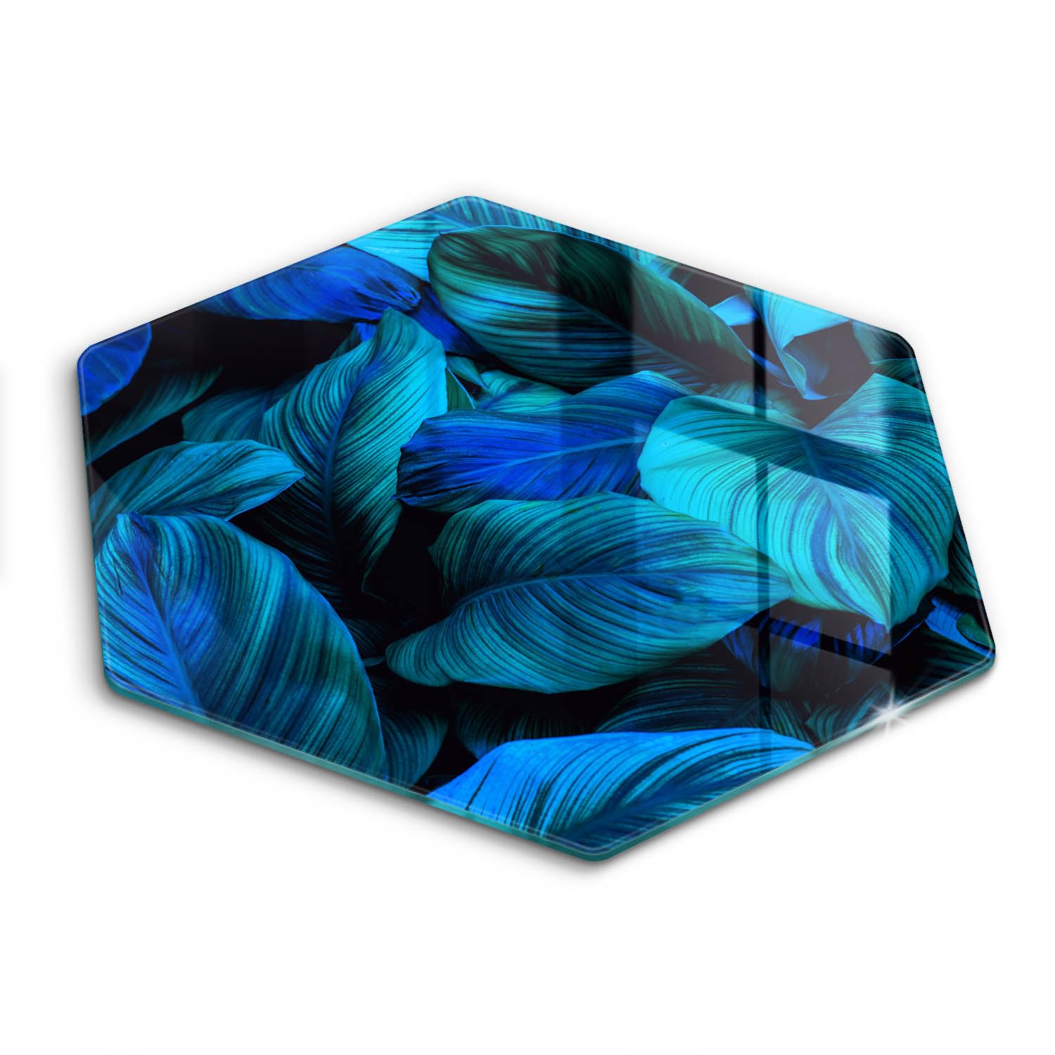 Protection plaque induction 40cm verre hectagonale ultra résistant motif jungle
