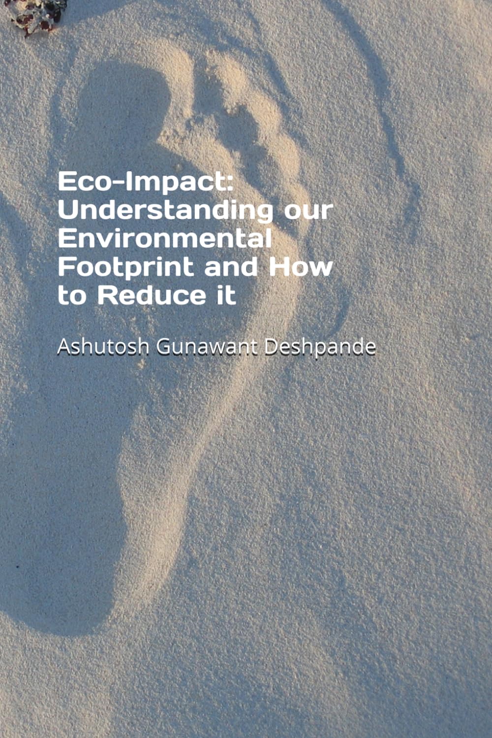 Eco-Impact: Understanding our Environmental Footprint and How to Reduce it