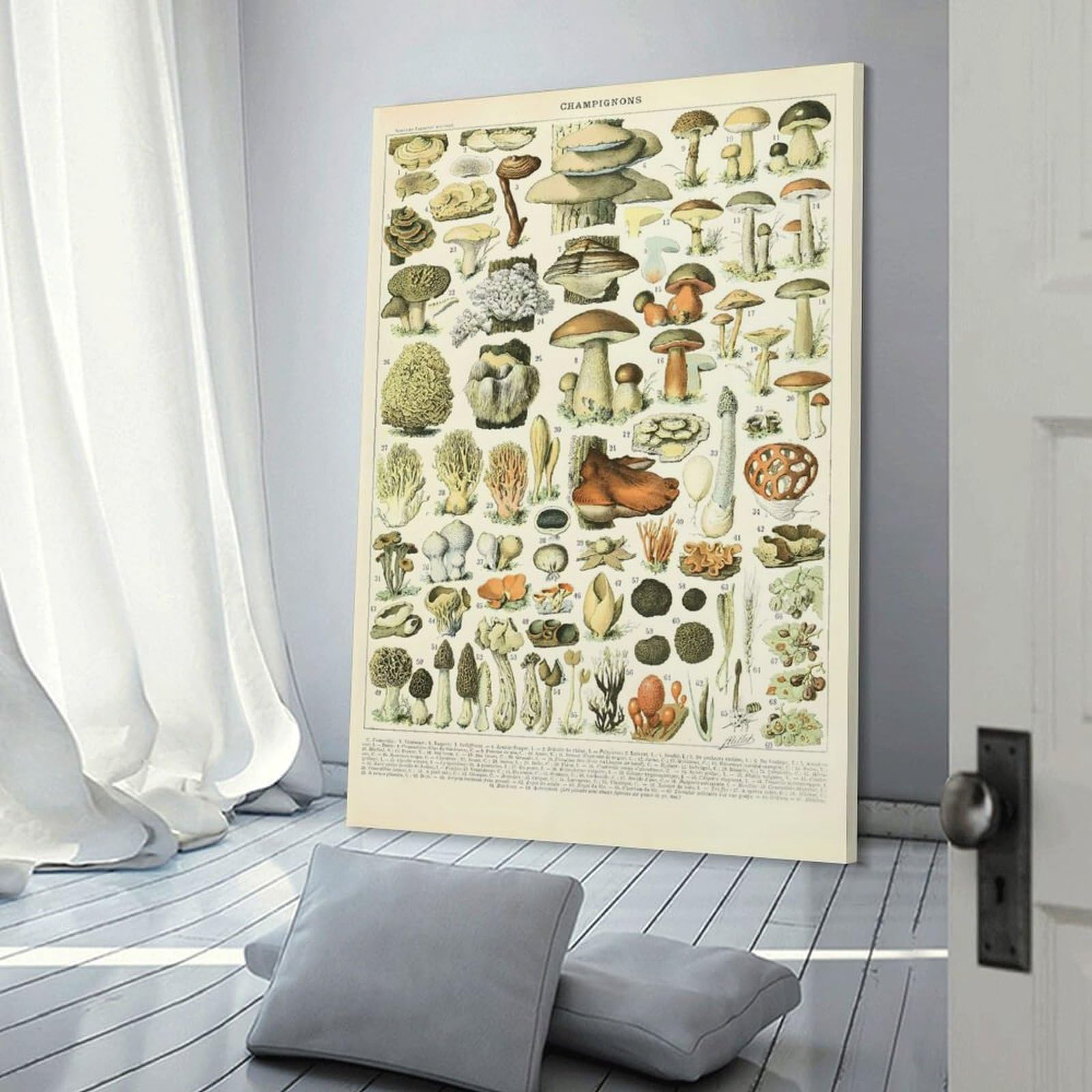 Junmoney Vintage Mushroom Wall Picture Print, 20x30inch(50x75cm), for Art Walls, Layered Displays Or Homes, Home Wall Art for Statement Displays