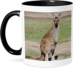 3dRose Australia, Perth, Yanchep National Park. Western gray kangaroo. 11oz Two-Tone Black Mug
