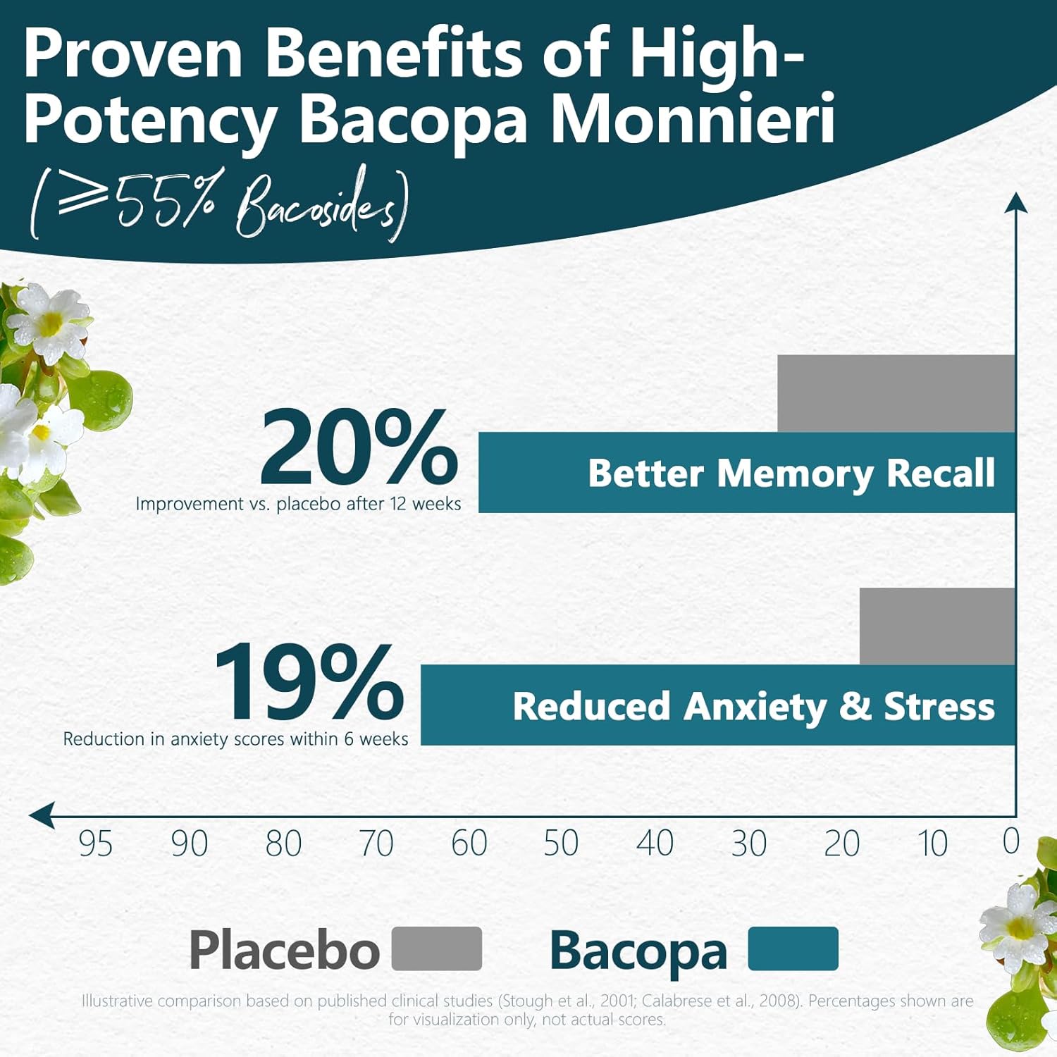 Bacopa Monnieri Supplement 300MG, Organic Nootropic Bacopa Extract, ≥ 55% High Potency Bacosides, Brain & Memory Supplement for Focus and Cognitive Support, Made in USA, 90 Capsules - Image 3