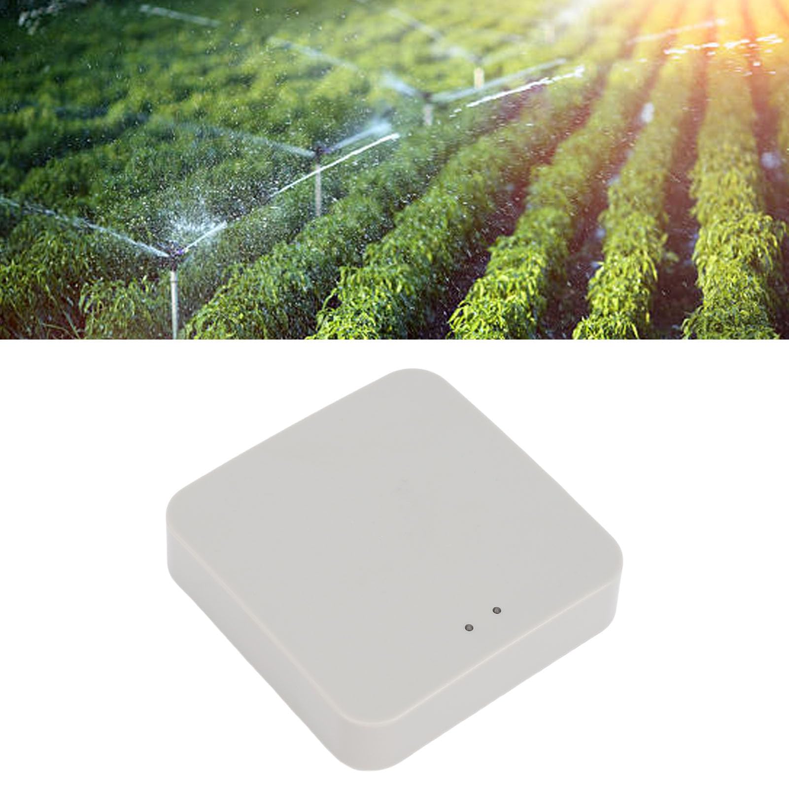 Sonew Giardino per Timer Irrigazione WiFi Controller Irrigazione con