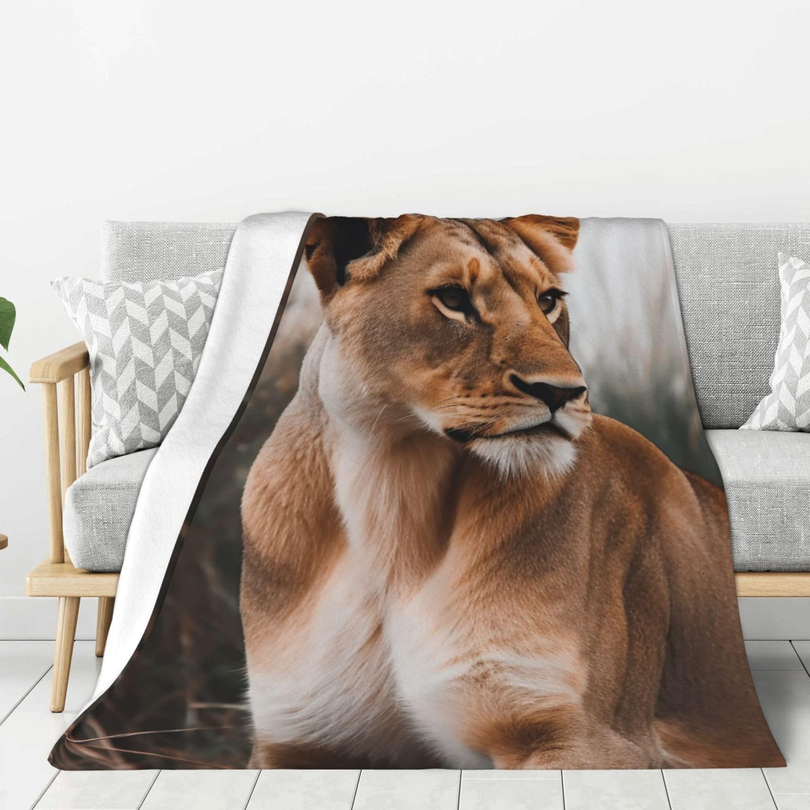 Couverture lion en flanelle pour des soirées cocooning sur le canapé