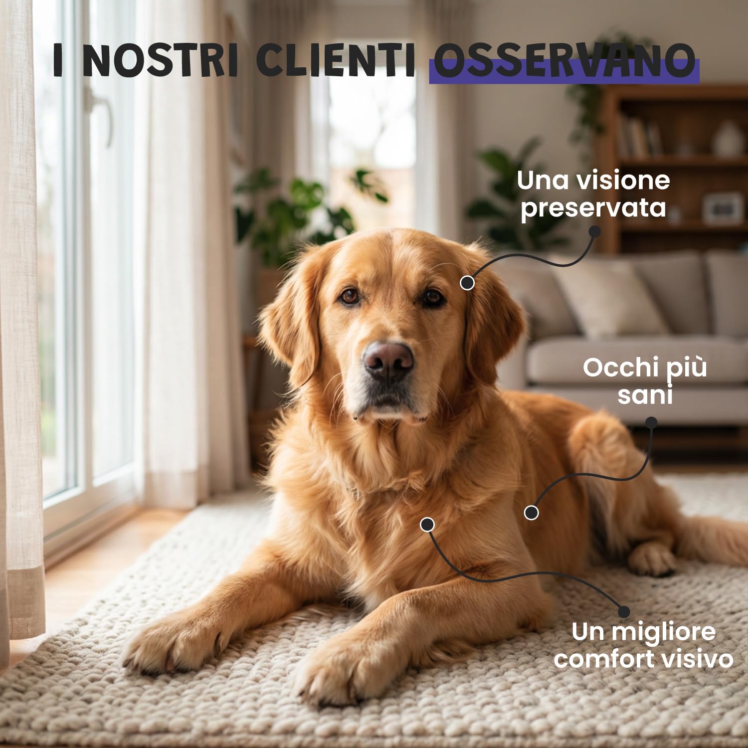 Vision 100 g – Integratore oculare naturale per cani e gatti | Mirtillo, Ginkgo, calendula | Antiossidanti e microcircolazione | Supporto per il comfort visivo | Appetito al fegato di pollo