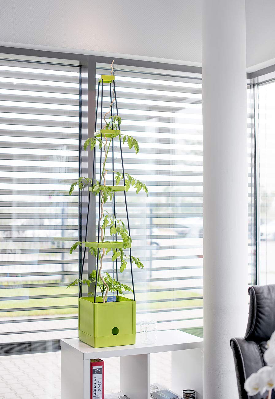 Royal Gardineer Pflanzenaufzuchttürme: 4er-Set Pflanz-Türme mit Rankhilfe für Tomaten, mit 2,5-l-Wassertank (Tomatentöpfe mit Rankhilfen, Tomaten-Pflanzturm mit Bewässerung, Topf)