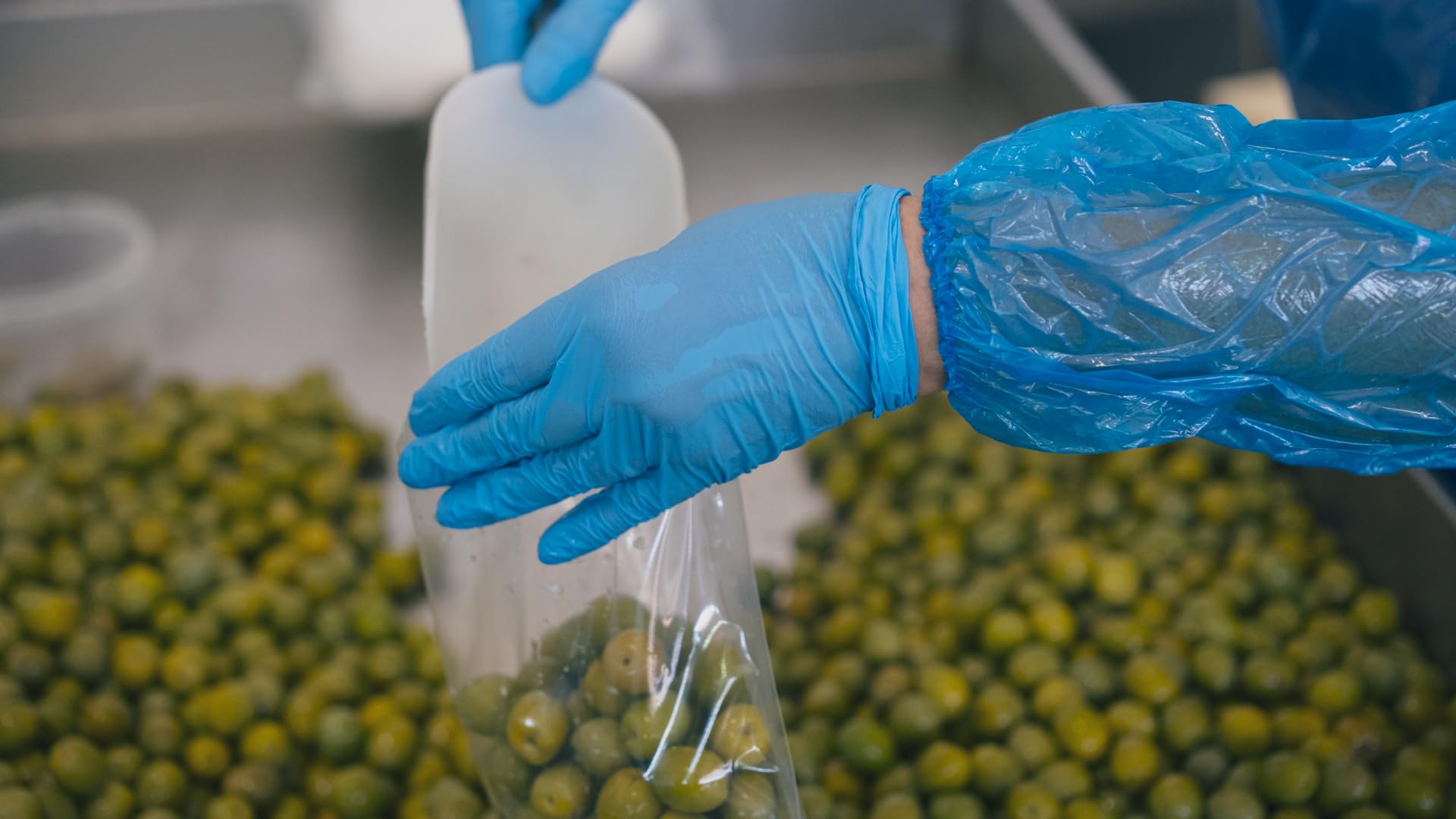 Terramia Olive Verdi Dolci di Sicilia "Nocellara" in Salamoia – Prodotto Artigianale da Azienda Premiata Ercole Olivario e Monna Oliva, Formato Scorta 2kg (4 Buste x 500g)