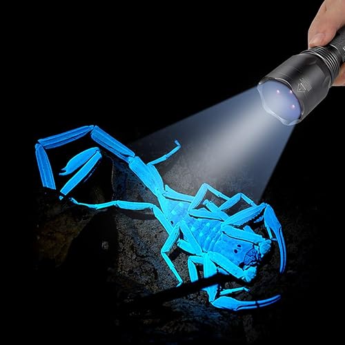 Miniatura 5 de S3 - Linterna UV de 365 nm con 3 LED, linterna recargable de luz negra para curado de resina, búsqueda de rocas, búsqueda de escorpión y búsqueda de