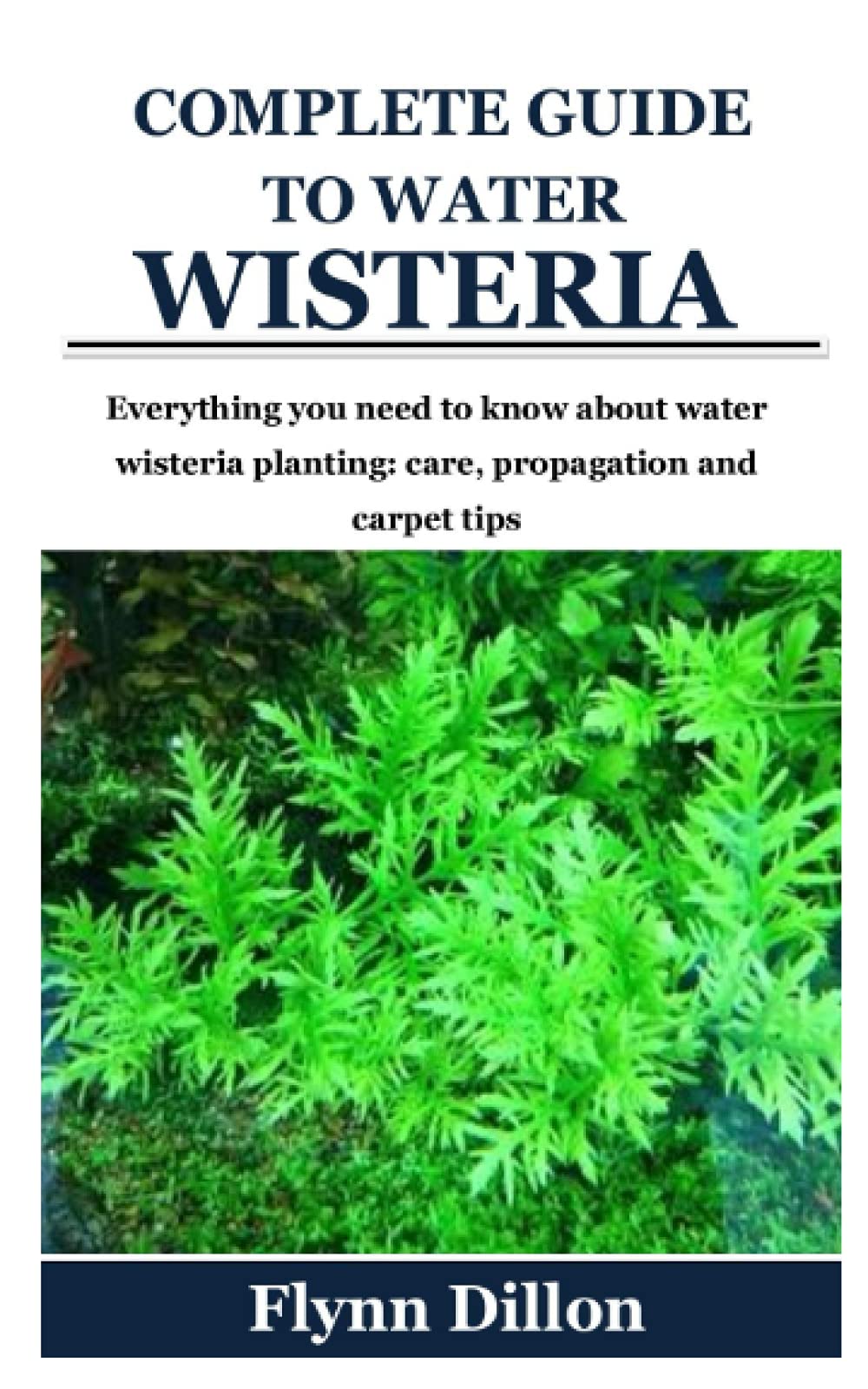 Buy Complete Guide to Water Wisteria Everything you need to know about