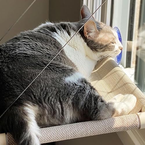 Gatton Cama De Janela Para Gatos Cama Para Gatos Prateleira Para Gatos Catbed Média Malibu Bege