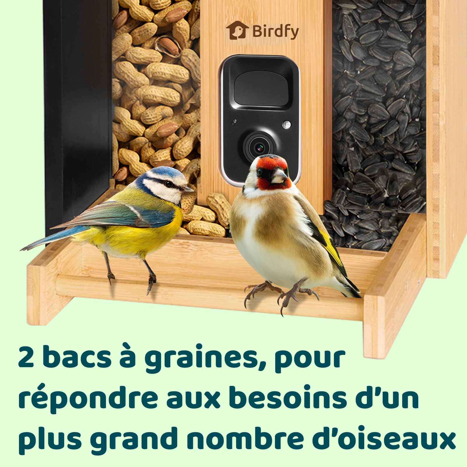Netvue Birdfy Mangeoire Oiseaux Bambou Caméra Solaire Vision Nocturne Capture Auto Images Vidéos Notification